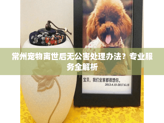 常州宠物离世后无公害处理办法?专业服务全解析 常州宠物离世后无公害处理办法?专业服务全解析