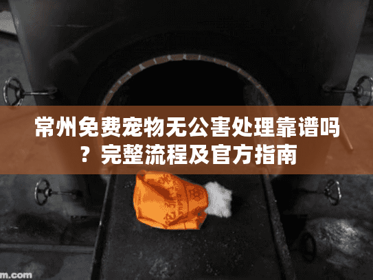 常州免费宠物无公害处理靠谱吗？完整流程及官方指南