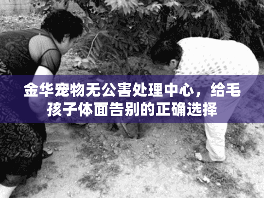 金华宠物无公害处理中心,给毛孩子体面告别的正确选择 金华宠物无公害处理中心,给毛孩子体面告别的正确选择