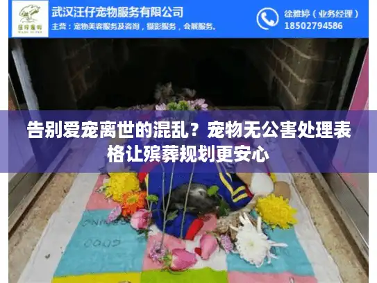 告别爱宠离世的混乱？宠物无公害处理表格让殡葬规划更安心