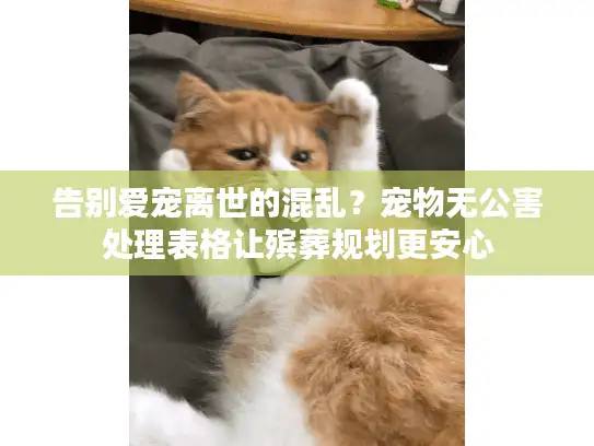 告别爱宠离世的混乱？宠物无公害处理表格让殡葬规划更安心