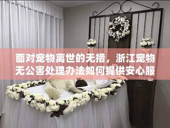 面对宠物离世的无措，浙江宠物无公害处理办法如何提供安心服务？