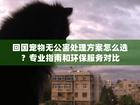 回国宠物无公害处理方案怎么选?专业指南和环保服务对比 回国宠物无公害处理方案怎么选?专业指南和环保服务对比