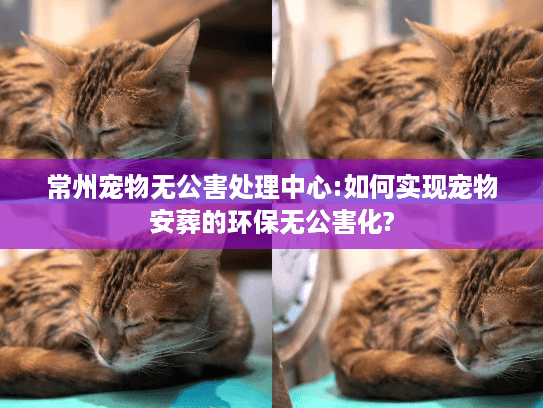 常州宠物无公害处理中心:如何实现宠物安葬的环保无公害化? 常州宠物无公害处理中心:如何实现宠物安葬的环保无公害化?