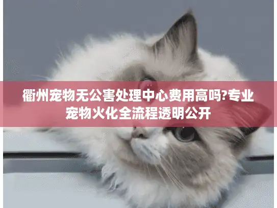 衢州宠物无公害处理中心费用高吗?专业宠物火化全流程透明公开 衢州宠物无公害处理中心费用高吗?专业宠物火化全流程透明公开