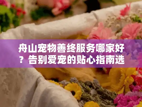 舟山宠物善终服务哪家好？告别爱宠的贴心指南选择关键点详解