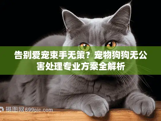 告别爱宠束手无策？宠物狗狗无公害处理专业方案全解析