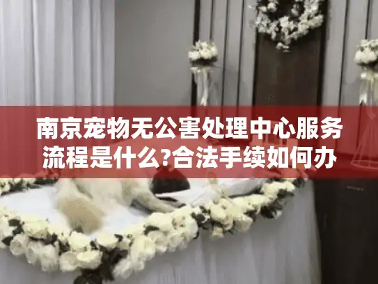南京宠物无公害处理中心服务流程是什么?合法手续如何办理?