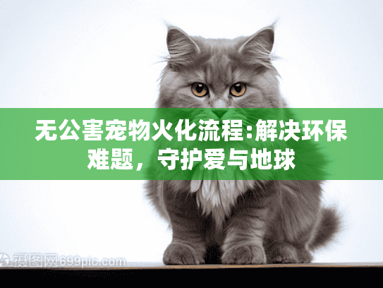 无公害宠物火化流程:解决环保难题，守护爱与地球