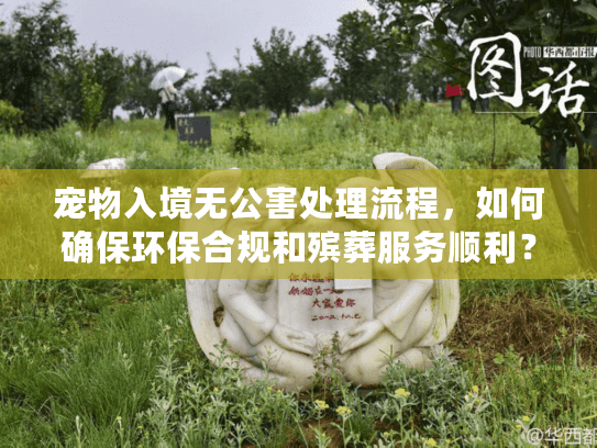 宠物入境无公害处理流程，如何确保环保合规和殡葬服务顺利？