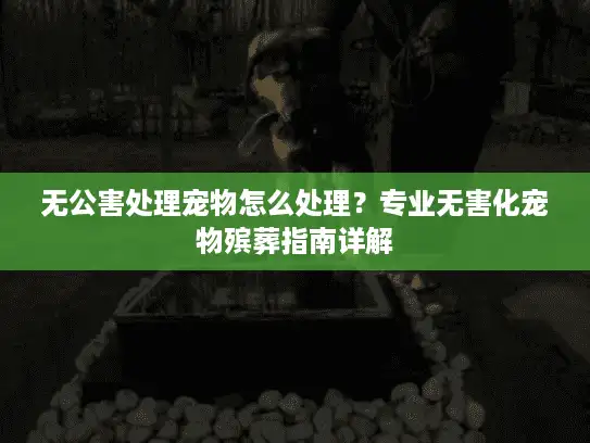 无公害处理宠物怎么处理？专业无害化宠物殡葬指南详解