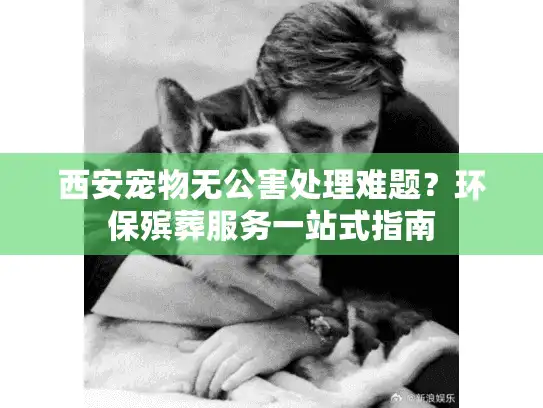 西安宠物无公害处理难题？环保殡葬服务一站式指南