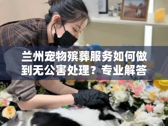 兰州宠物殡葬服务如何做到无公害处理?专业解答饲主疑惑 兰州宠物殡葬服务如何做到无公害处理?专业解答饲主疑惑