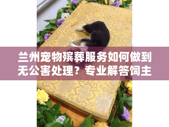 兰州宠物殡葬服务如何做到无公害处理?专业解答饲主疑惑 兰州宠物殡葬服务如何做到无公害处理?专业解答饲主疑惑