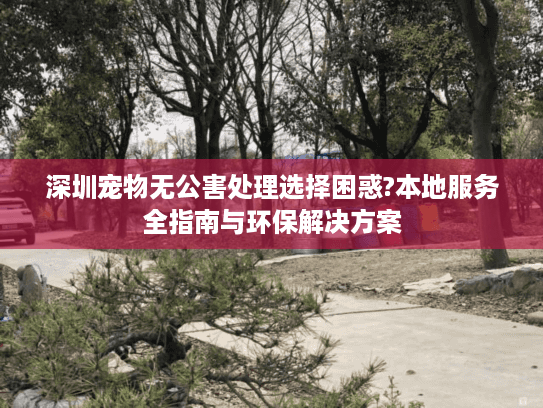 深圳宠物无公害处理选择困惑?本地服务全指南与环保解决方案