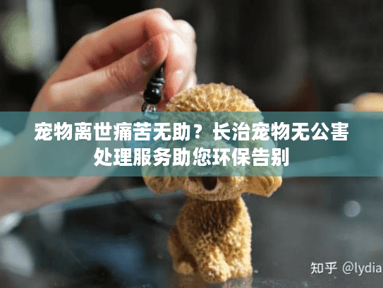 宠物离世痛苦无助?长治宠物无公害处理服务助您环保告别 宠物离世痛苦无助?长治宠物无公害处理服务助您环保告别