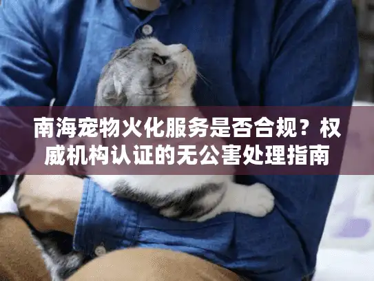 南海宠物火化服务是否合规?权威机构认证的无公害处理指南 南海宠物火化服务是否合规?权威机构认证的无公害处理指南
