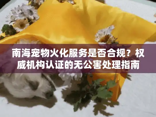 南海宠物火化服务是否合规?权威机构认证的无公害处理指南 南海宠物火化服务是否合规?权威机构认证的无公害处理指南