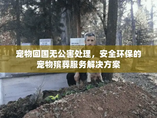 宠物回国无公害处理，安全环保的宠物殡葬服务解决方案