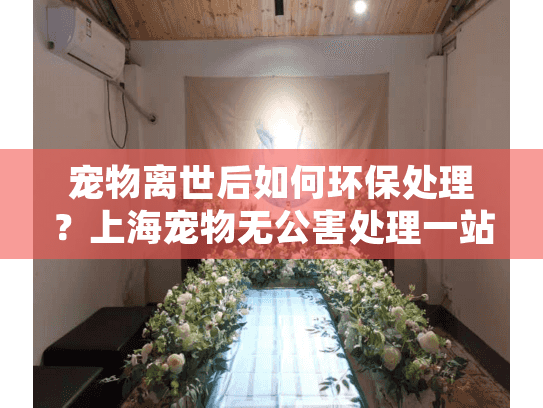 宠物离世后如何环保处理？上海宠物无公害处理一站式服务指南