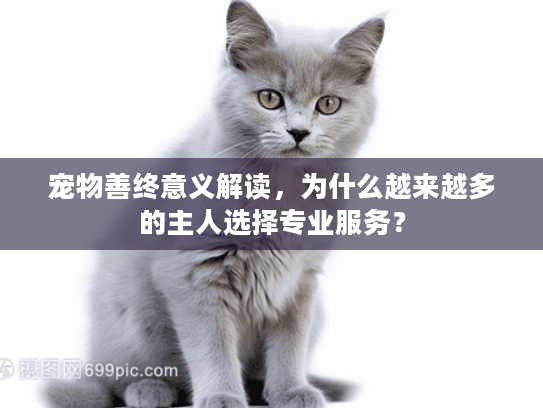 宠物善终意义解读，为什么越来越多的主人选择专业服务？