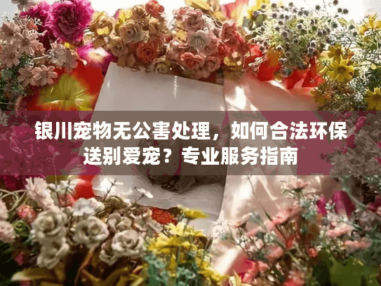 银川宠物无公害处理，如何合法环保送别爱宠？专业服务指南