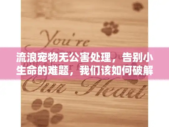 流浪宠物无公害处理，告别小生命的难题，我们该如何破解？