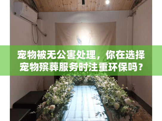 宠物被无公害处理，你在选择宠物殡葬服务时注重环保吗？