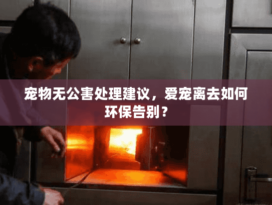 宠物无公害处理建议，爱宠离去如何环保告别？