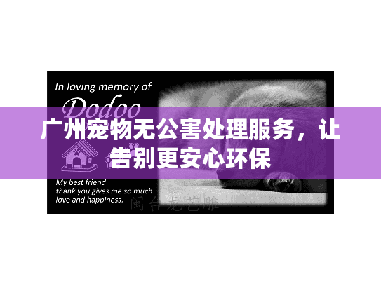 广州宠物无公害处理服务,让告别更安心环保 广州宠物无公害处理服务,让告别更安心环保