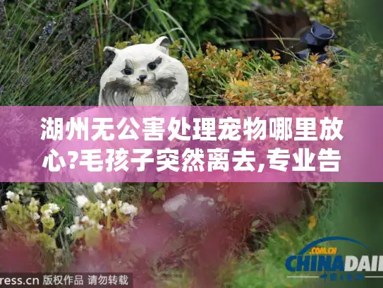 湖州无公害处理宠物哪里放心?毛孩子突然离去,专业告别指引 湖州无公害处理宠物哪里放心?毛孩子突然离去,专业告别指引