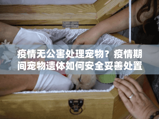 疫情无公害处理宠物？疫情期间宠物遗体如何安全妥善处置？