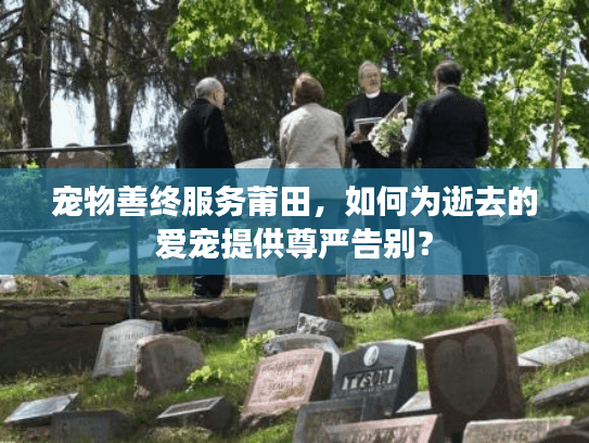 宠物善终服务莆田，如何为逝去的爱宠提供尊严告别？