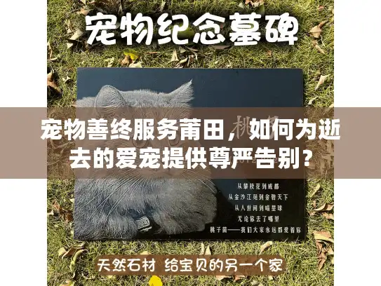 宠物善终服务莆田，如何为逝去的爱宠提供尊严告别？