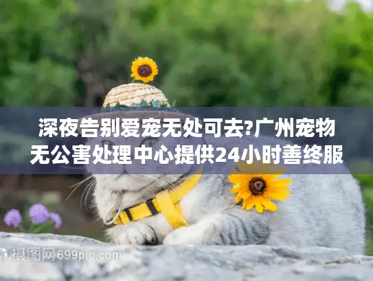 深夜告别爱宠无处可去?广州宠物无公害处理中心提供24小时善终服务