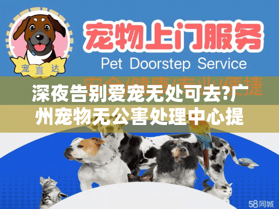 深夜告别爱宠无处可去?广州宠物无公害处理中心提供24小时善终服务