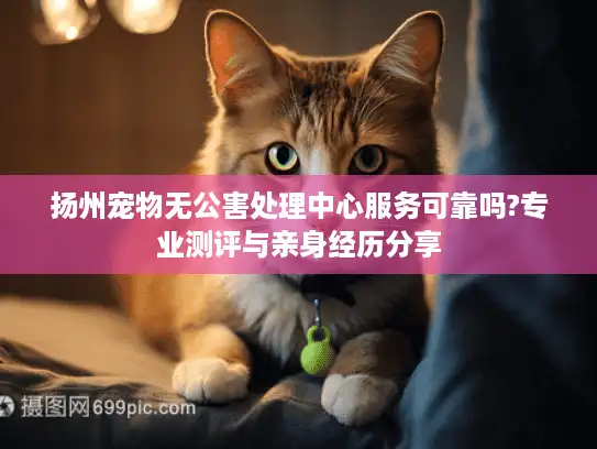 扬州宠物无公害处理中心服务可靠吗?专业测评与亲身经历分享