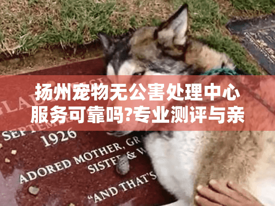 扬州宠物无公害处理中心服务可靠吗?专业测评与亲身经历分享