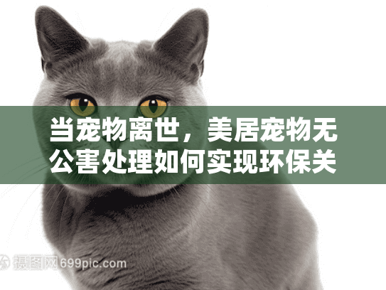 当宠物离世，美居宠物无公害处理如何实现环保关怀？