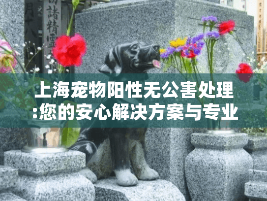 上海宠物阳性无公害处理:您的安心解决方案与专业服务指南
