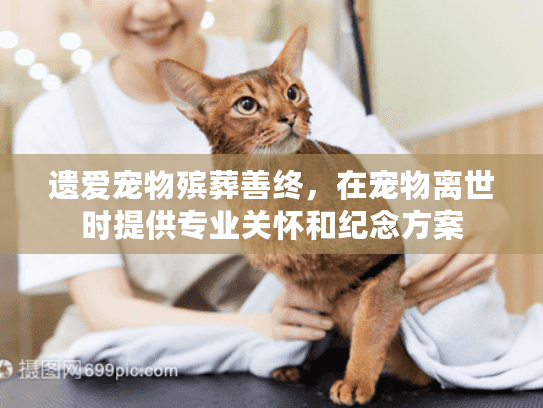 遗爱宠物殡葬善终,在宠物离世时提供专业关怀和纪念方案 遗爱宠物殡葬善终,在宠物离世时提供专业关怀和纪念方案