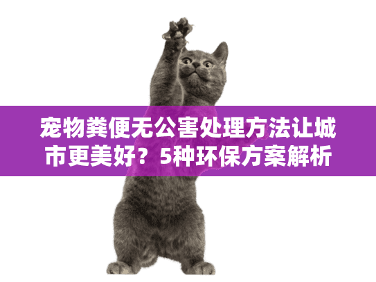 宠物粪便无公害处理方法让城市更美好？5种环保方案解析