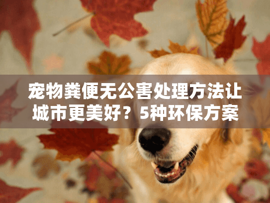 宠物粪便无公害处理方法让城市更美好？5种环保方案解析
