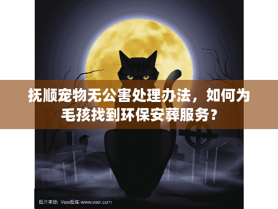 抚顺宠物无公害处理办法,如何为毛孩找到环保安葬服务? 抚顺宠物无公害处理办法,如何为毛孩找到环保安葬服务?