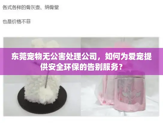 东莞宠物无公害处理公司，如何为爱宠提供安全环保的告别服务？