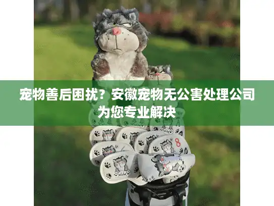 宠物善后困扰？安徽宠物无公害处理公司为您专业解决