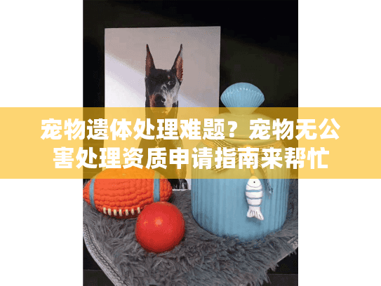 宠物遗体处理难题？宠物无公害处理资质申请指南来帮忙