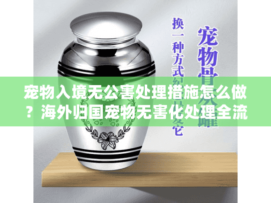 宠物入境无公害处理措施怎么做？海外归国宠物无害化处理全流程详解