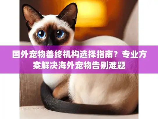 国外宠物善终机构选择指南？专业方案解决海外宠物告别难题