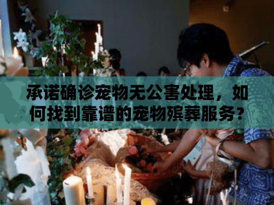 承诺确诊宠物无公害处理,如何找到靠谱的宠物殡葬服务? 承诺确诊宠物无公害处理,如何找到靠谱的宠物殡葬服务?